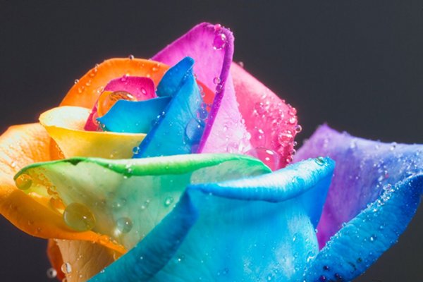 Digital art selected for the Daily Inspiration 326