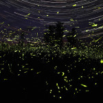 national-geographic-international-photography-contest_3