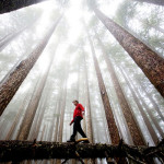 national-geographic-international-photography-contest_5