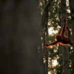 national-geographic-international-photography-contest_8