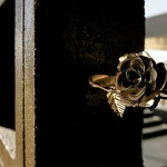 rosa-muerta-joshua-tree-national-park-robert-stone_9 rosa-muerta-joshua-tree-national-park-robert-stone_9