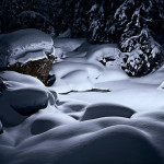 tim-simmons-snow-photography_7 tim-simmons-snow-photography_7