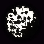 Glanta-Lamp-by-Johan-Carpner_5 Glanta-Lamp-by-Johan-Carpner_5