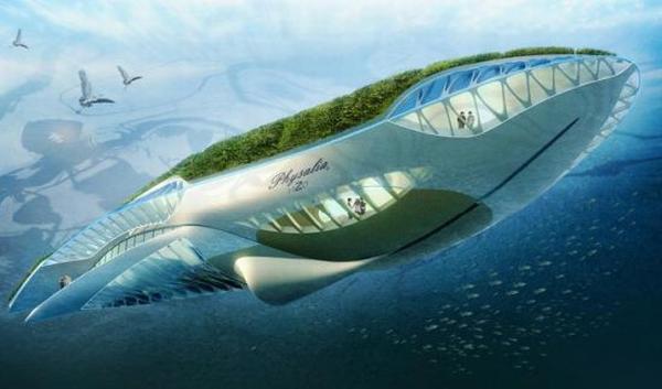 Physalia-Amphibious-Garden-Boat_1 Physalia Amphibious Garden Boat