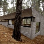 concrete-house-mar-azul-forest_BAK-architects_2 concrete-house-mar-azul-forest_BAK-architects_2