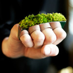 growing-jewelry_Hafsteinn-Juliusson_1
