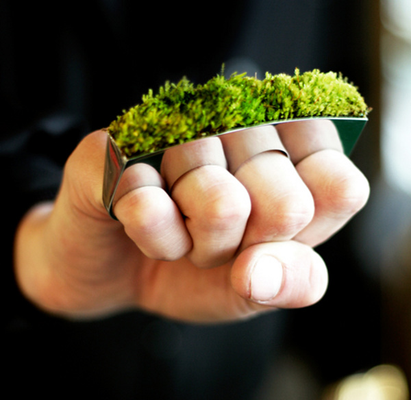 growing-jewelry_Hafsteinn-Juliusson_1 Growing Jewelry by Hafsteinn Juliusson