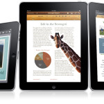 iwork_20100127