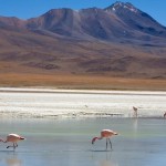 chile-by-aure_11 chile-by-aure_11