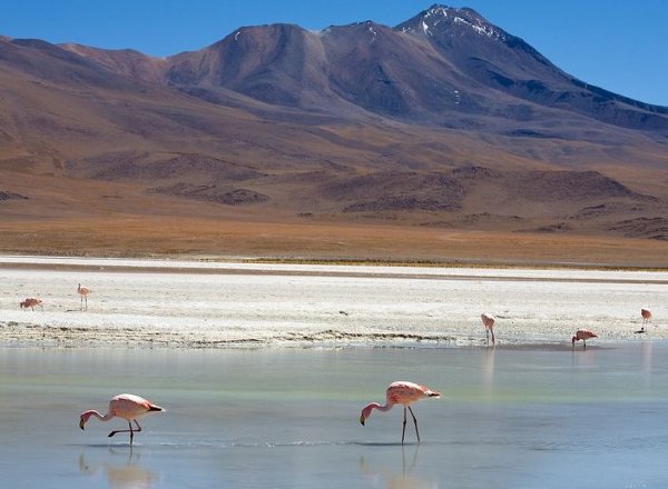 chile-by-aure_11 Chile by Aure