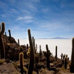 chile-by-aure_3 chile-by-aure_3