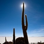 chile-by-aure_8 chile-by-aure_8