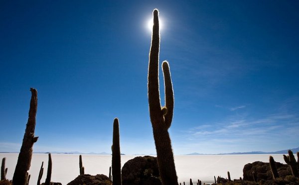 chile-by-aure_8 Chile by Aure