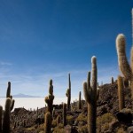chile-by-aure_9 chile-by-aure_9