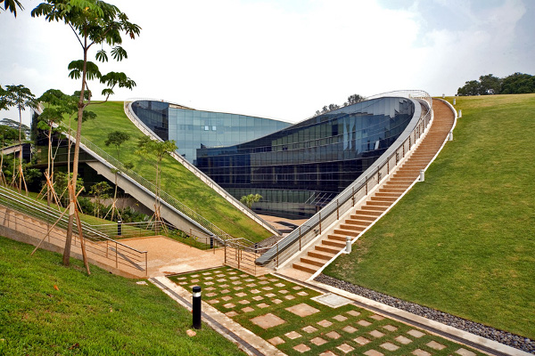 Green Roof School