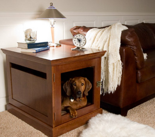 Indoor Dog House