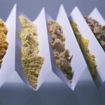 edible-crayons_7