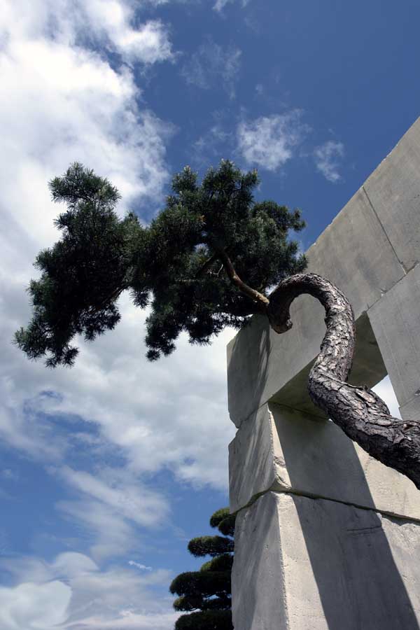 tree-museum_1