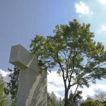 tree-museum_11 tree-museum_11