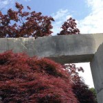 tree-museum_14 tree-museum_14