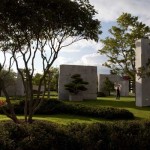tree-museum_6 tree-museum_6