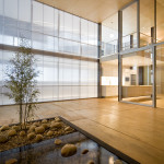 X House by Arquitectura X 2