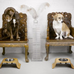 roxie-doggie-bowls_1