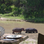 Naibor Luxury Safari Retreat - Kenya 11