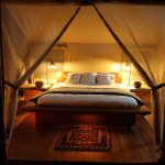 Naibor Luxury Safari Retreat - Kenya 5
