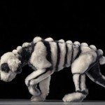 Dog Photography by Tim Flach 11