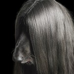Dog Photography by Tim Flach 6