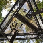 Morris Arboretum Tree Adventure 1