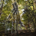Morris Arboretum Tree Adventure 2