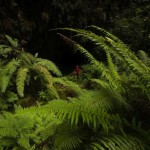 Earth From Below by Stephen Alvarez 5