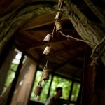 Finca Bellavista Treehouse Community 11