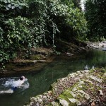 Finca Bellavista Treehouse Community 14