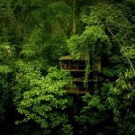 Finca Bellavista Treehouse Community 2
