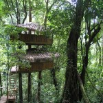 Finca Bellavista Treehouse Community 4