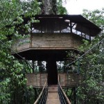 Finca Bellavista Treehouse Community 6
