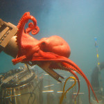 Deep Sea Exploration 3