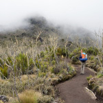 Kilimanjaro Mountain Climbing 4