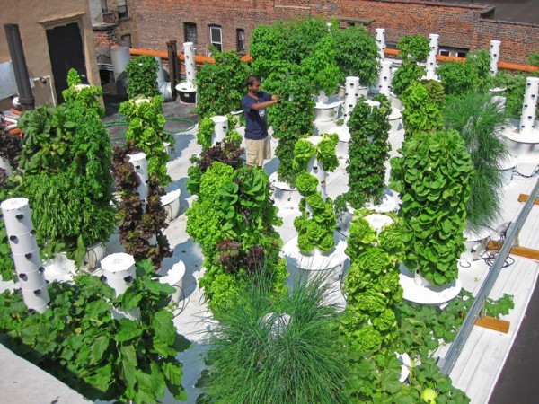 Vertical Hydroponic Gardening 1 • TheCoolist - The Modern Design ...