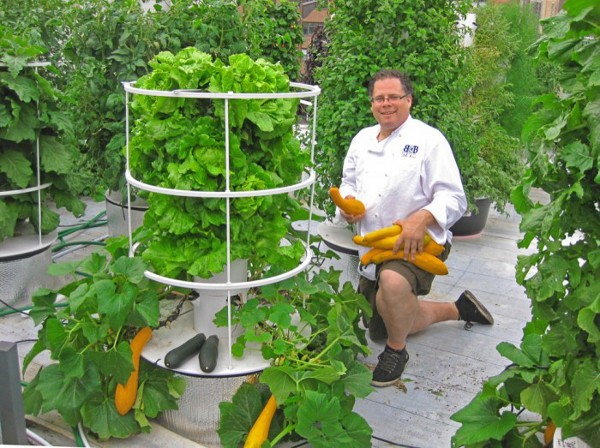 Vertical Hydroponic Gardening 2