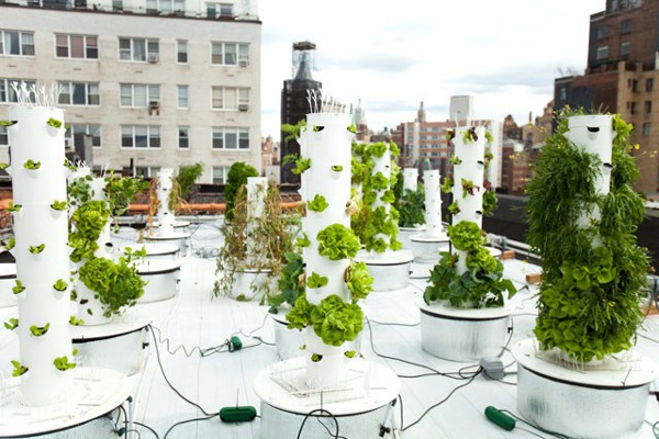 Vertical Hydroponic Gardening 3 • TheCoolist - The Modern Design ...