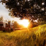 Andrew Brooks Landscape Photography 6
