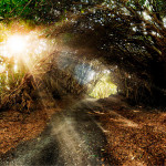 Andrew Brooks Landscape Photography 7