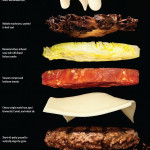 Modernist Cuisine Book 5
