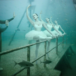Shipwreck Art Gallery by Andreas Franke 3