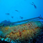 Shipwreck Art Gallery by Andreas Franke 7
