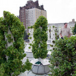 Bell, Book and Candle, hydroponic garden,roof top garden,vertical gardening